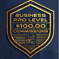 Business Pro Level