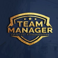 Team Manager Level